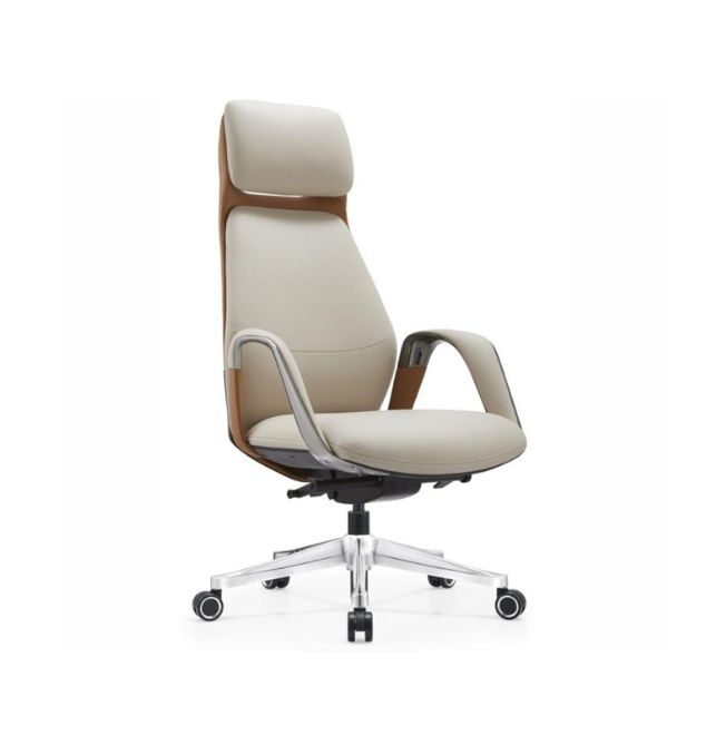 director-and-visitor-chair